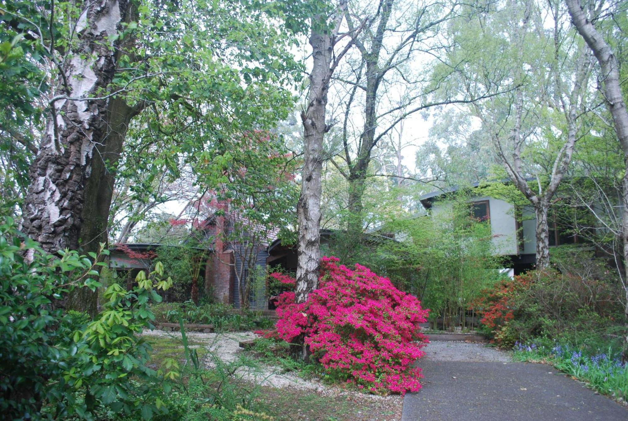 Beech Suite - Rocky Creek Art Garden Olinda Exterior photo